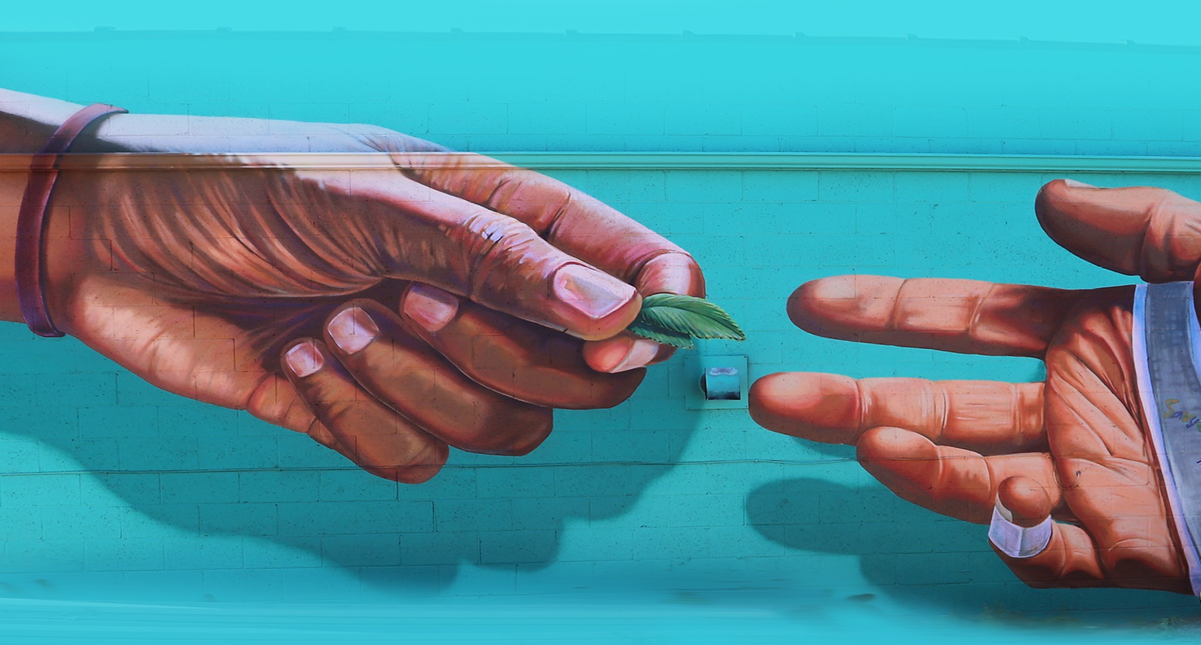 Support the Downtown Clinic: Your Contribution Makes a Difference image