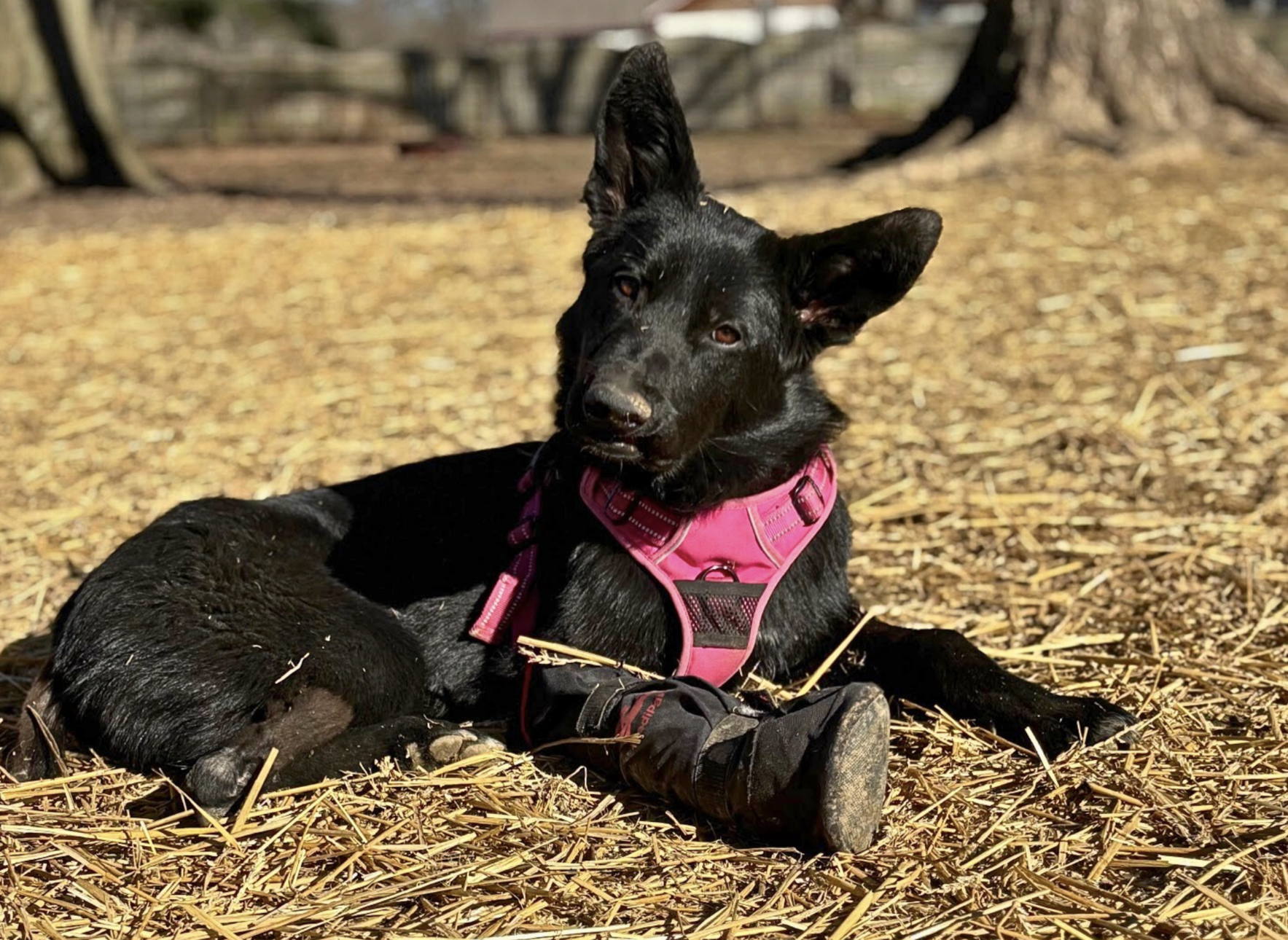 Spring Appeal 2026 image