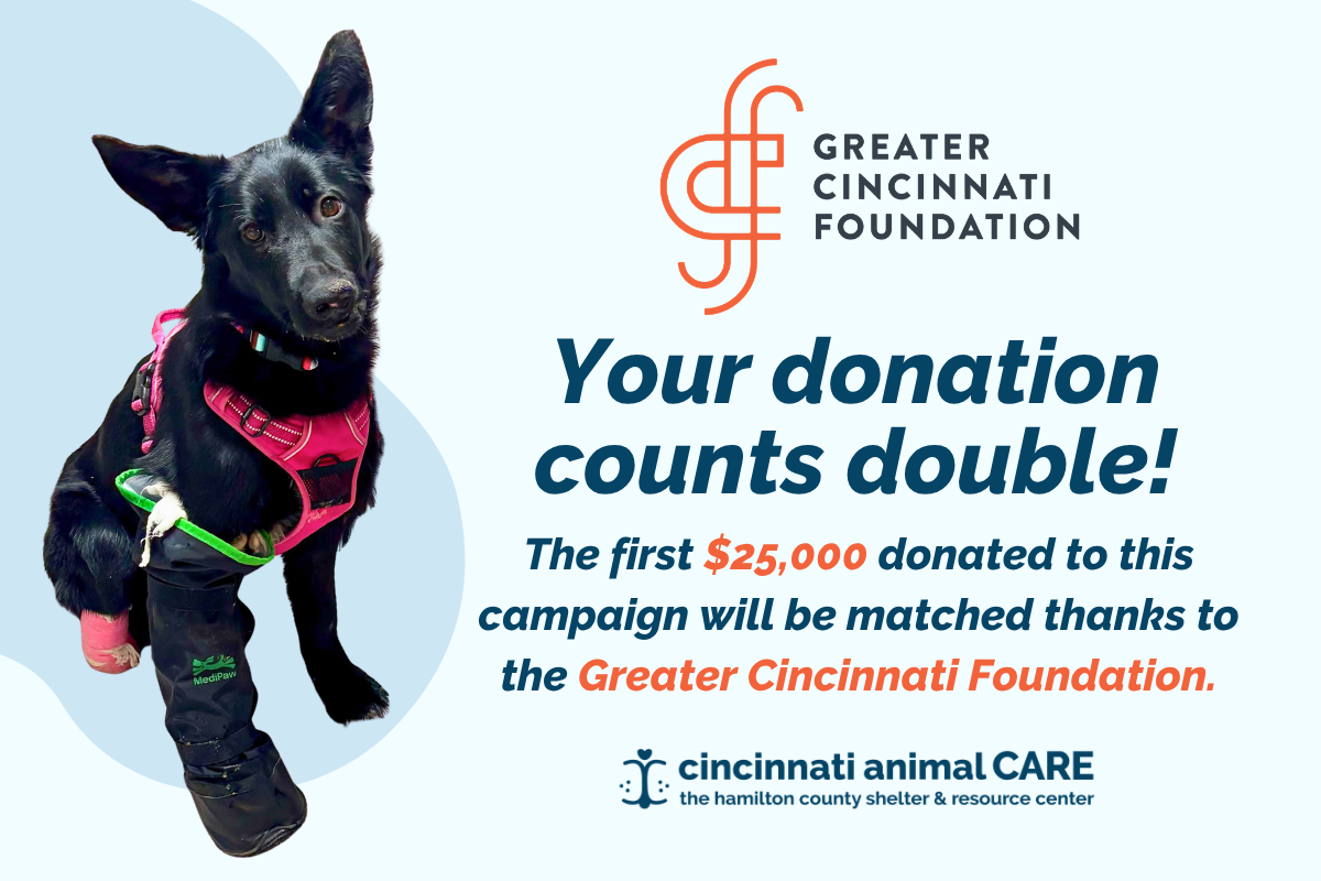 $25,000 Match from Greater Cincinnati Foundation – We’re not there yet! image