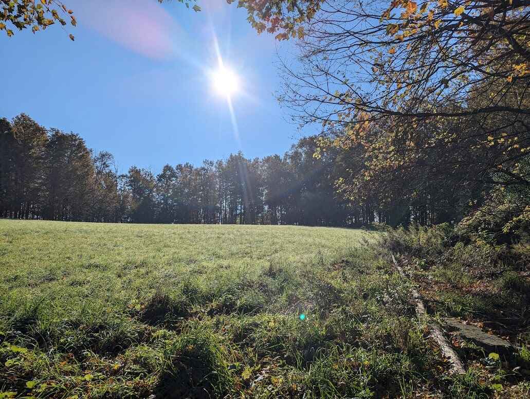 Help Countryside Conservancy be more sustainable image