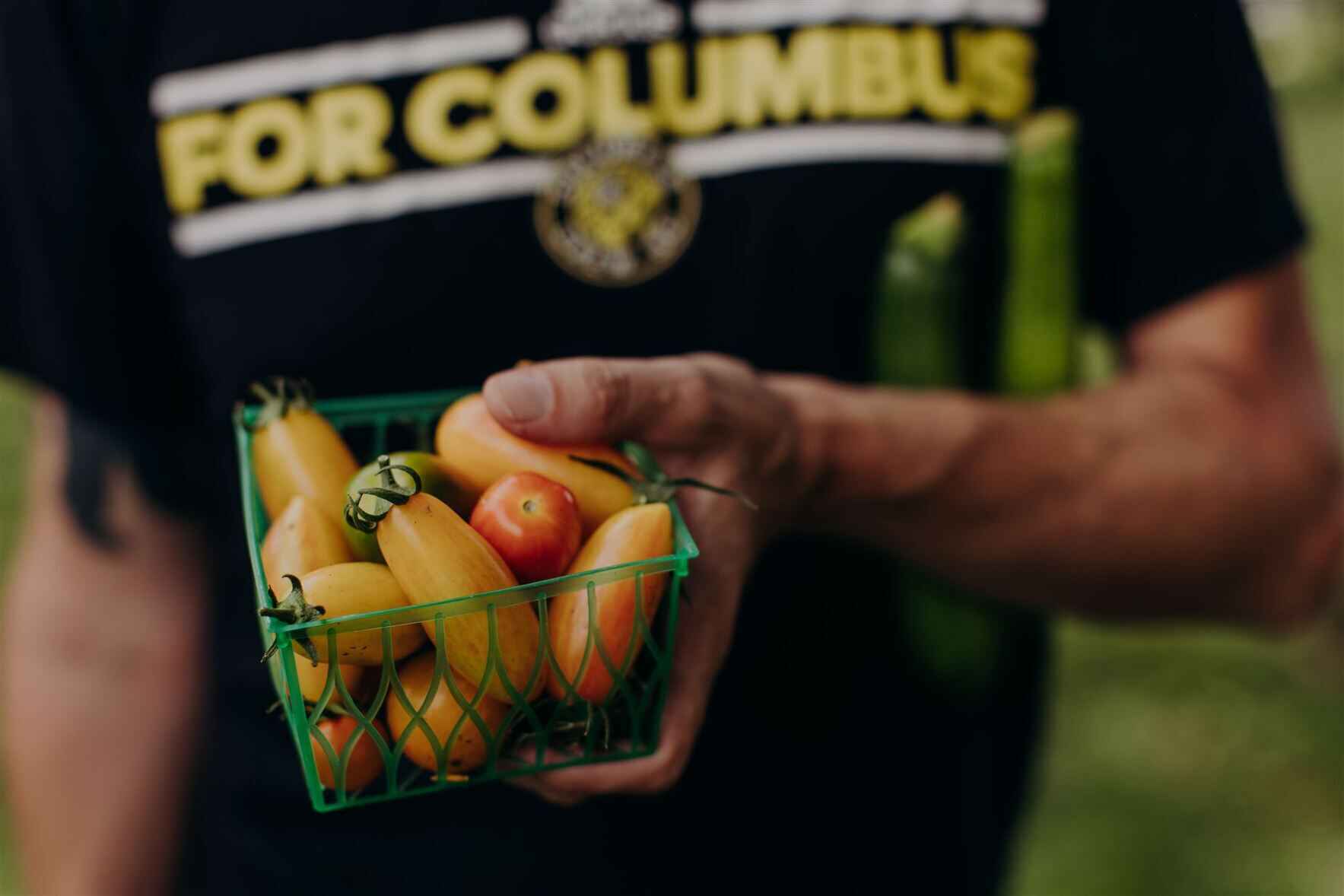 Franklinton Farms - Feeding Franklinton Families  image