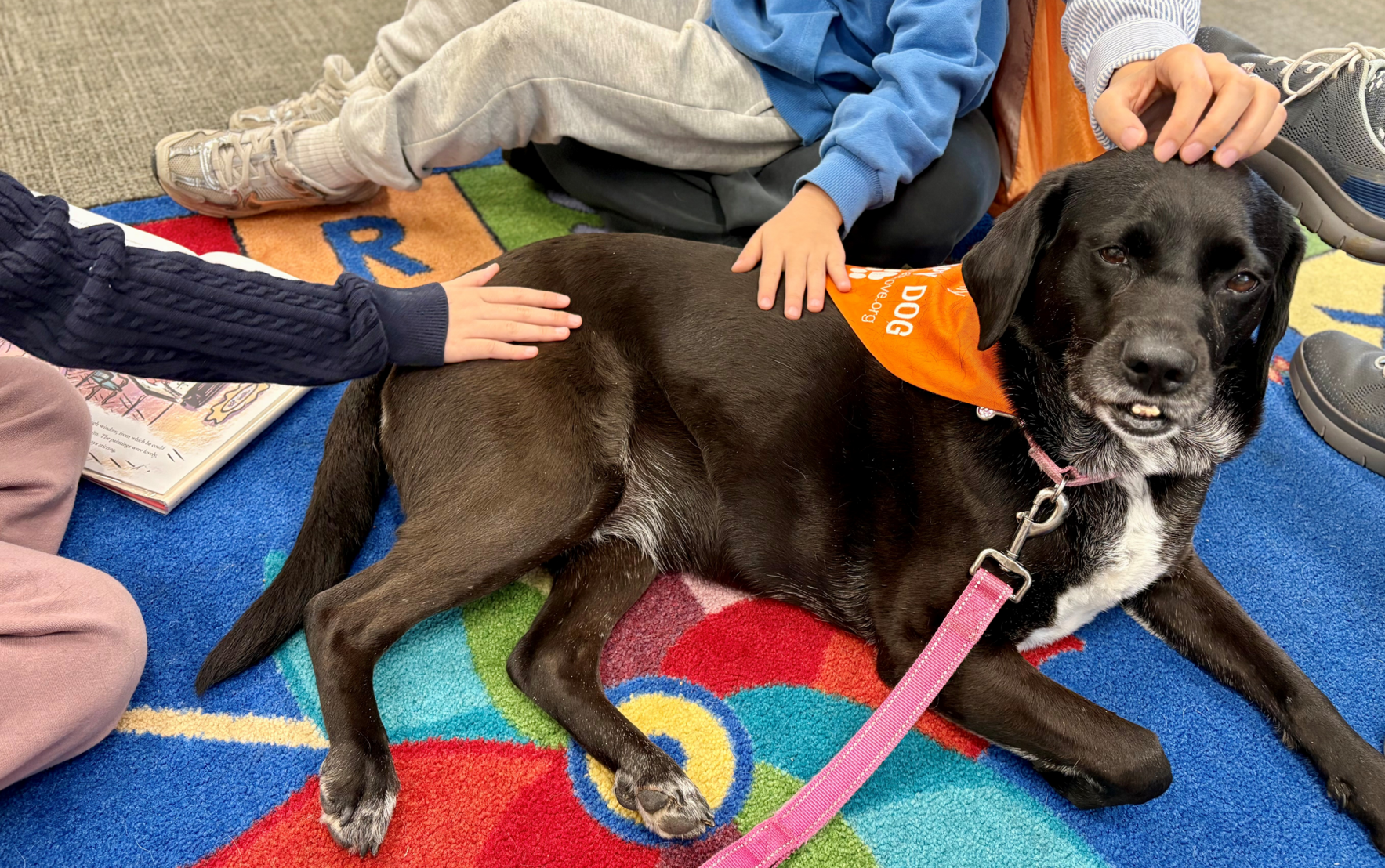 Celebrate National Therapy Animal Day — Support Healing through the Human-Animal Bond image