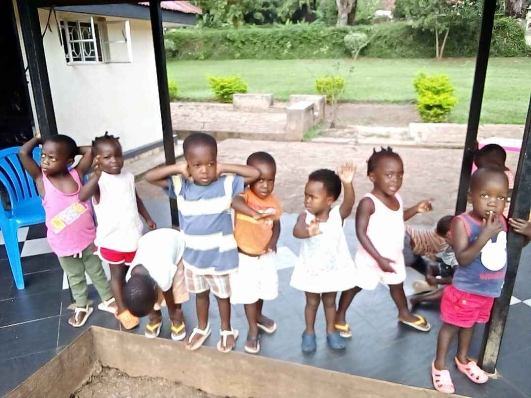 Roofing for our home! image