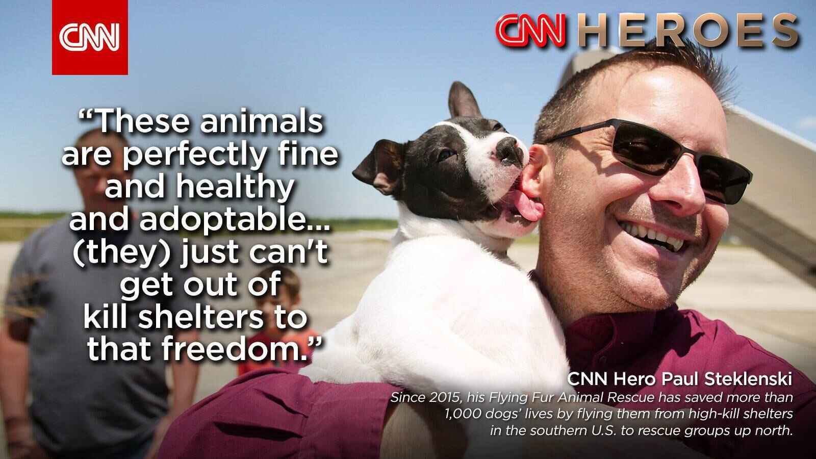 Join the Flying Fur Animal Rescue Crew image