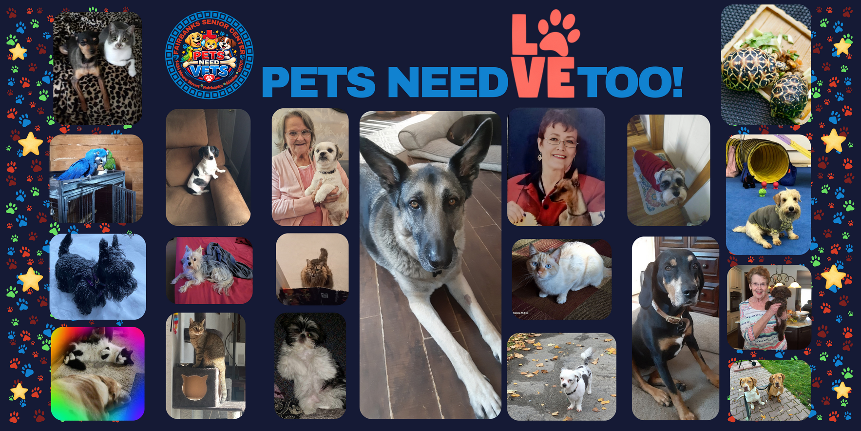 Fairbanks Senior Center Launches 2026 “Pets Need Love Too” Campaign to Support Veterinary Care for Seniors’ Pets image