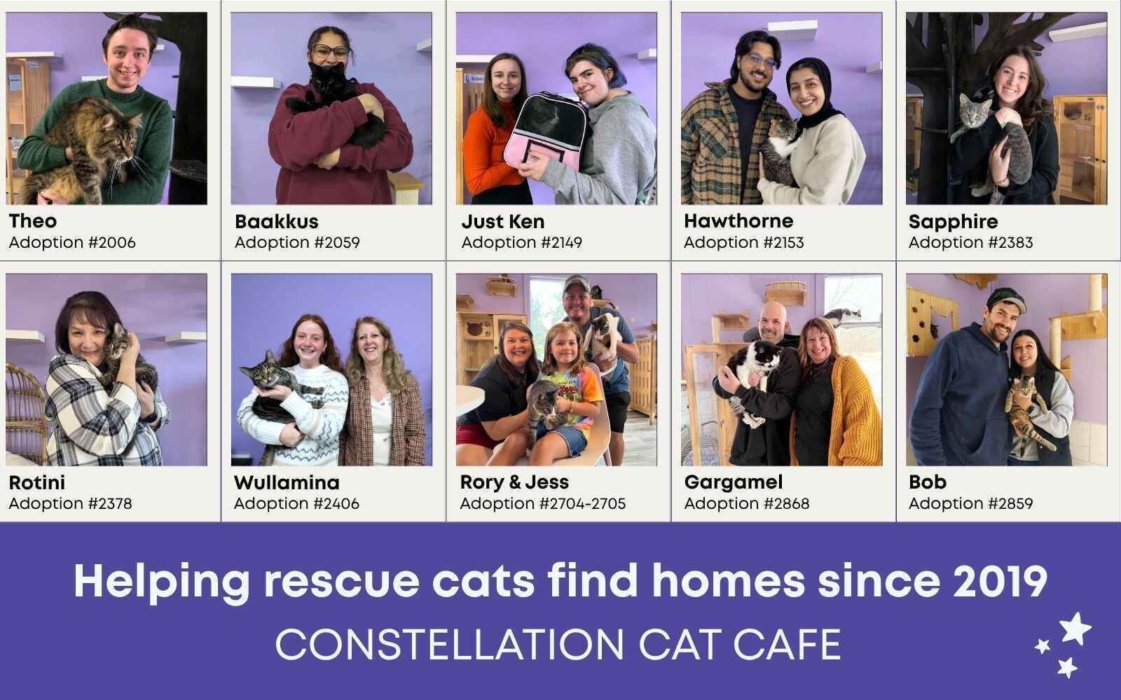 Help us support the care for rescue cats before we hit 3,000 adoptions! image