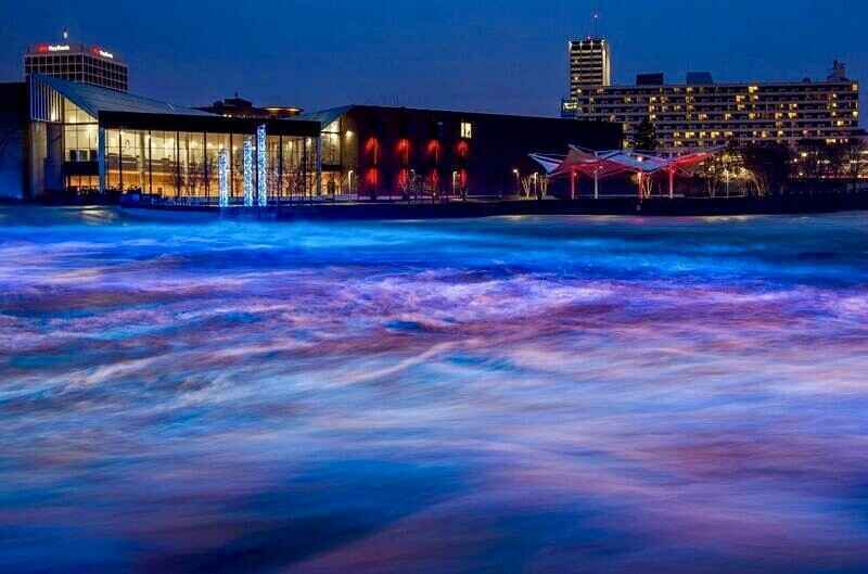 Calling all Alumni image