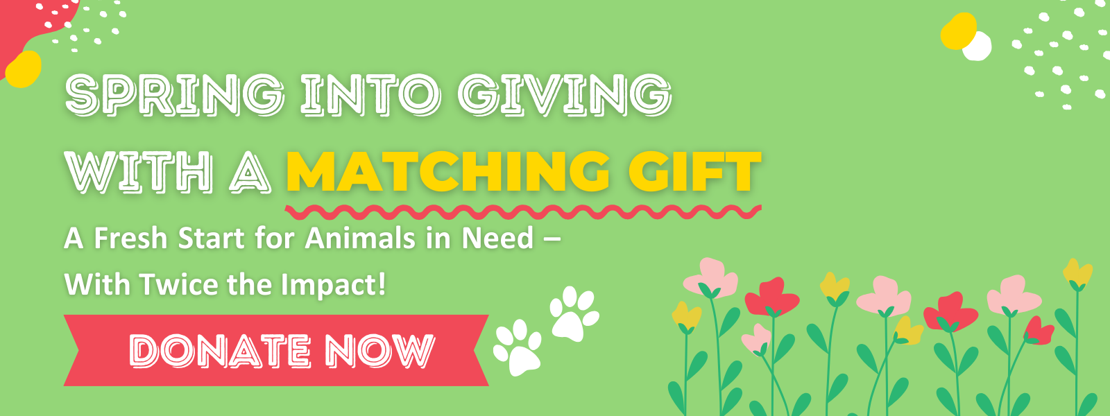 Spring into Giving – Double Your Impact for Animals in Need! image