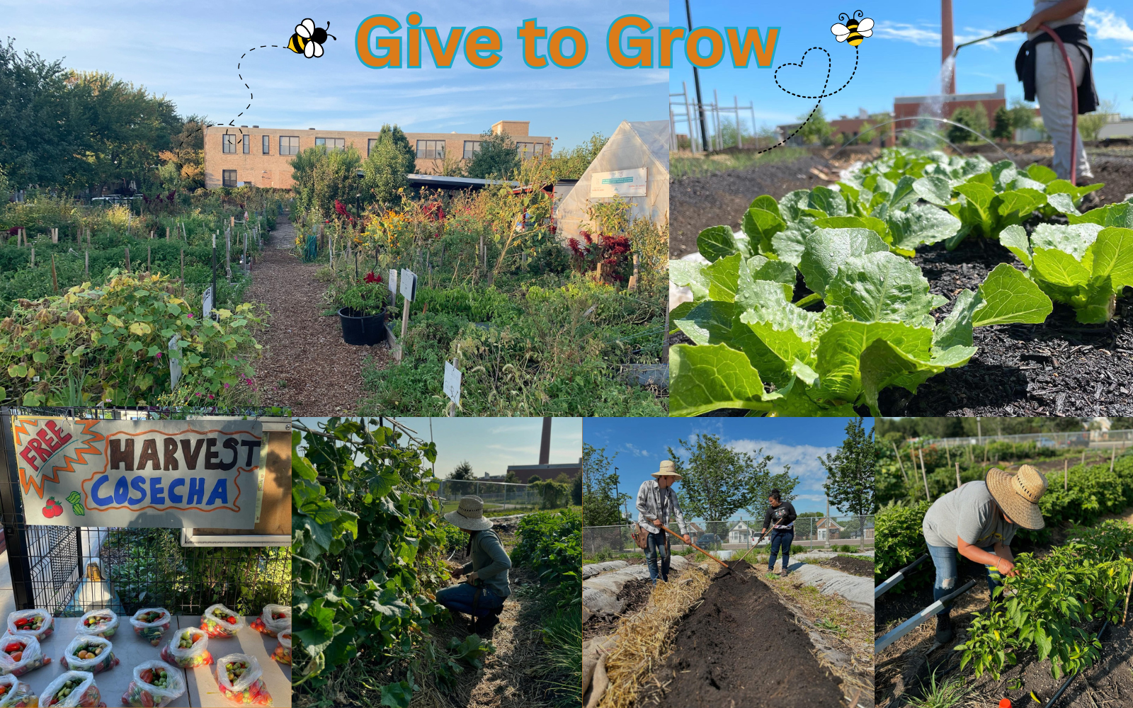 Donate Now: Help Us Grow More Food for Families This Spring image