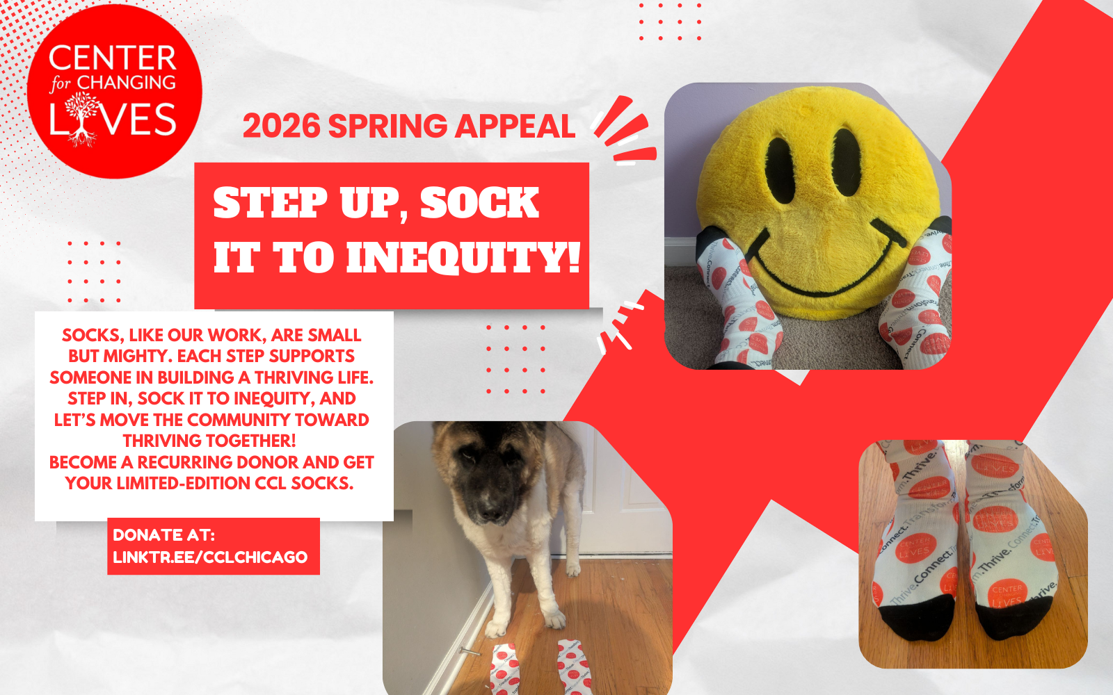 Sock it to Equity! CCL Spring Appeal image