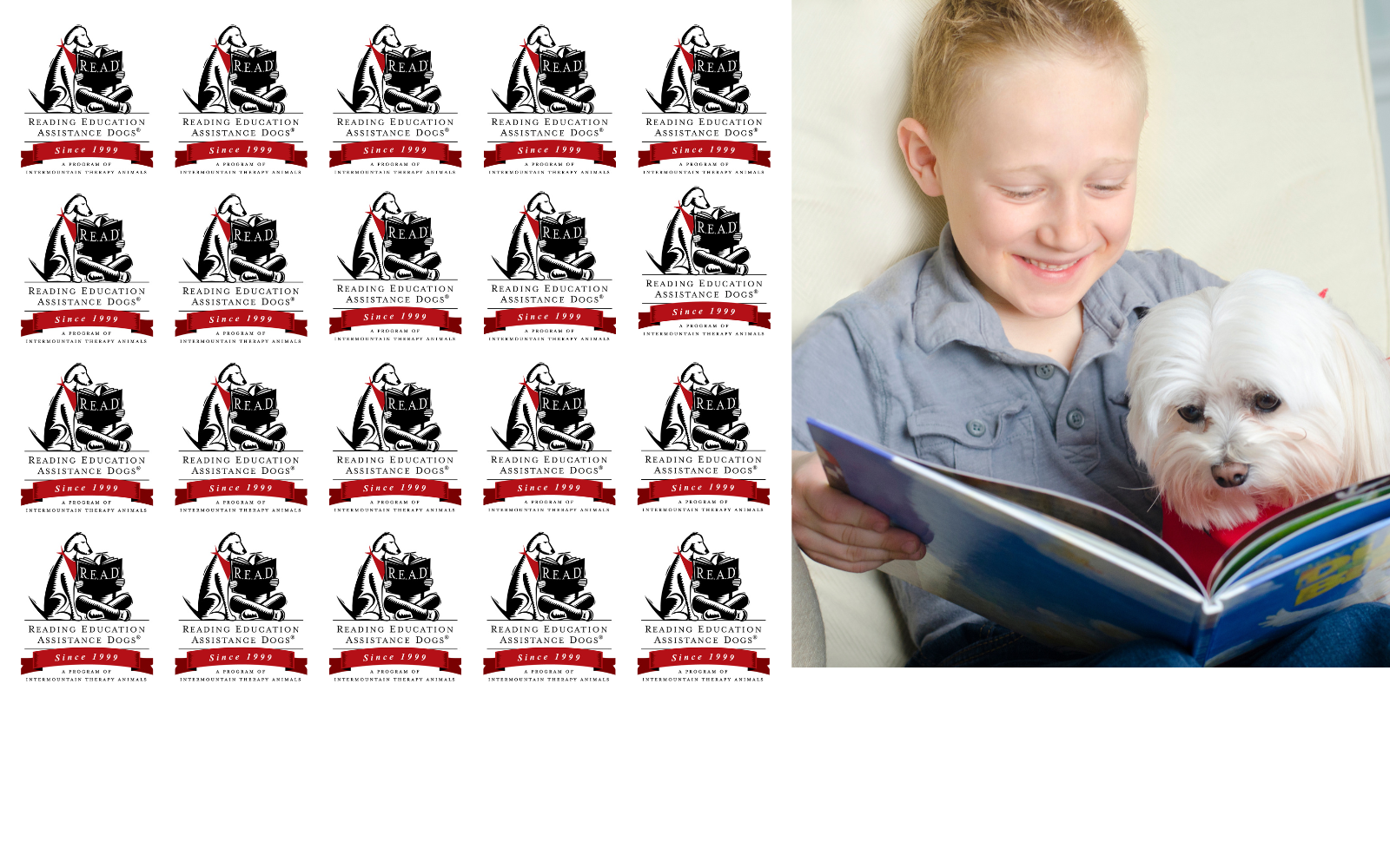 R.E.A.D.® More Dogs. More Books. More Smiles. image