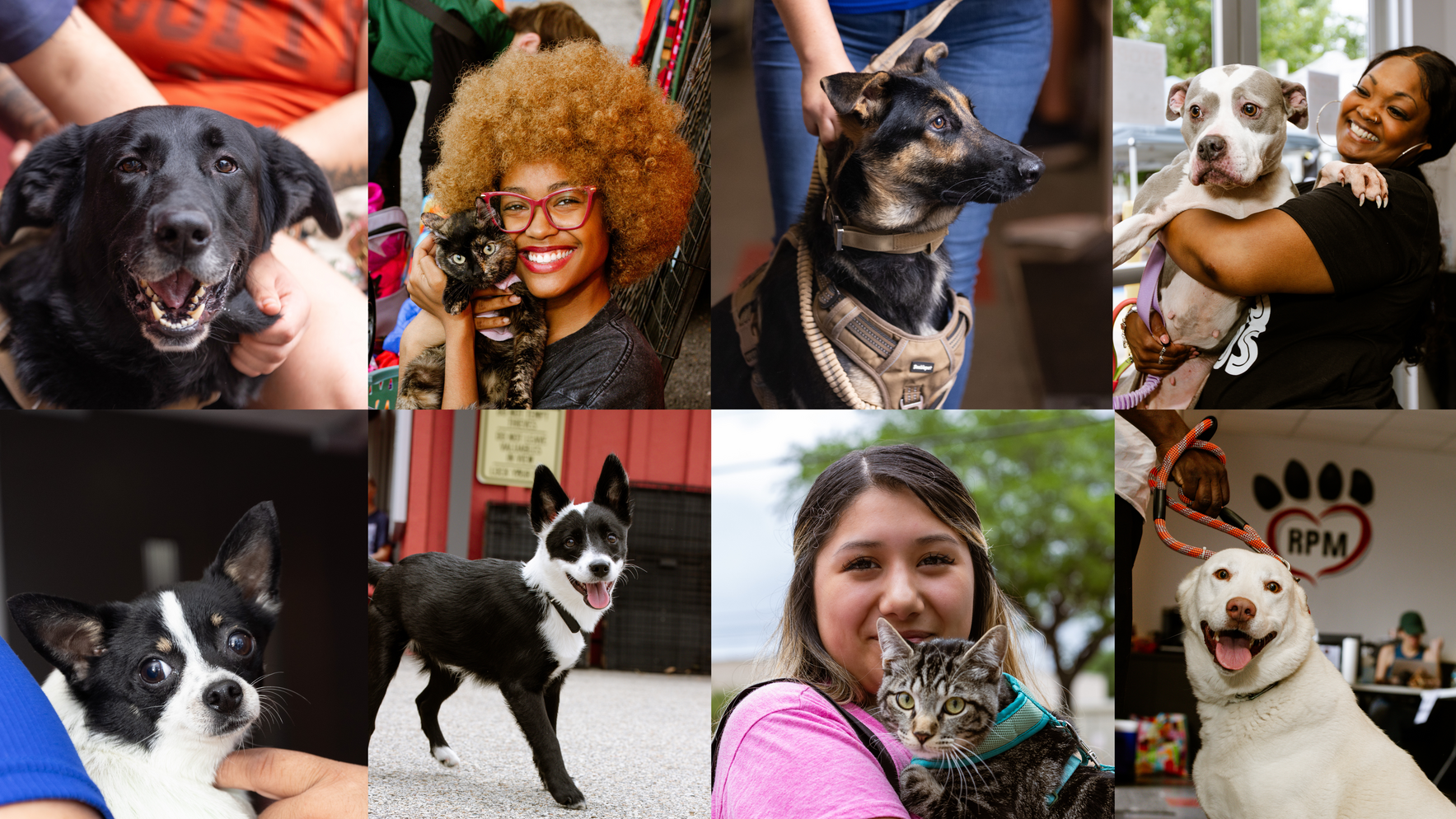 Help Us Host the Next Free Community Vet Care Day image