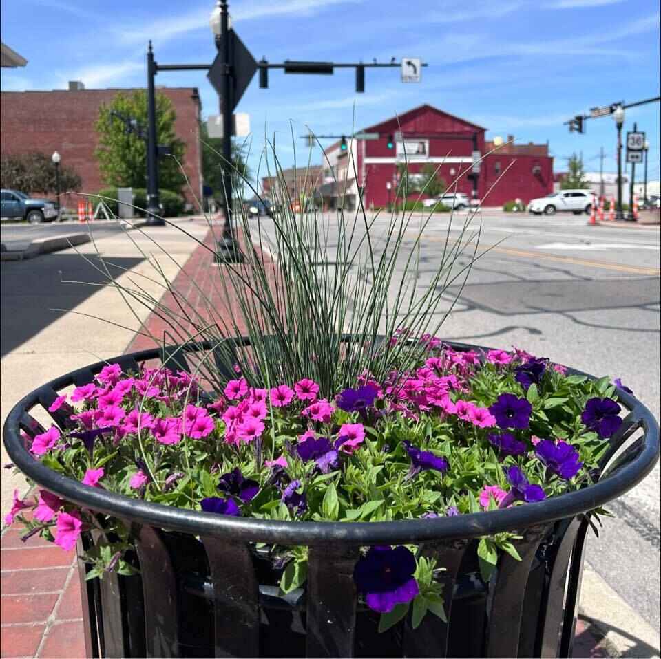 Donate to the Downtown Piqua Beautification Program image