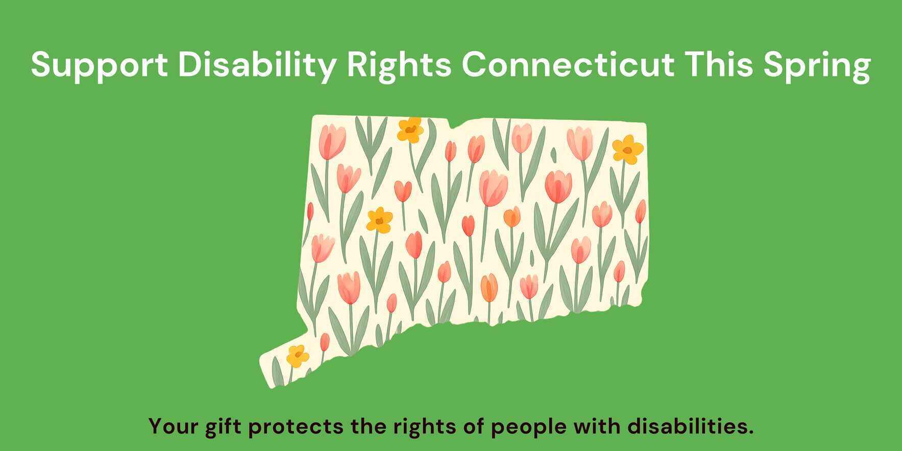 Disability Rights Connecticut Inc image