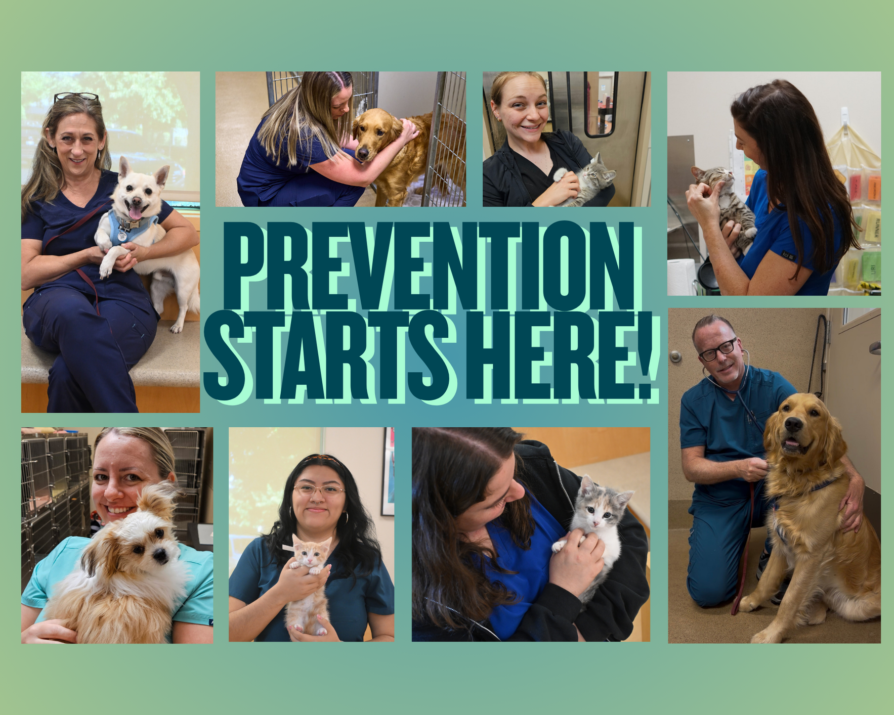 Our Community. Our Future. Prevention Starts Here. image