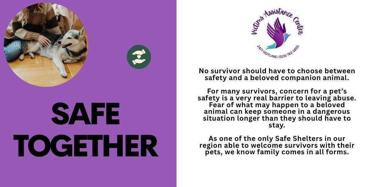 Keeping Survivors and Their Companions Safe - Together! image