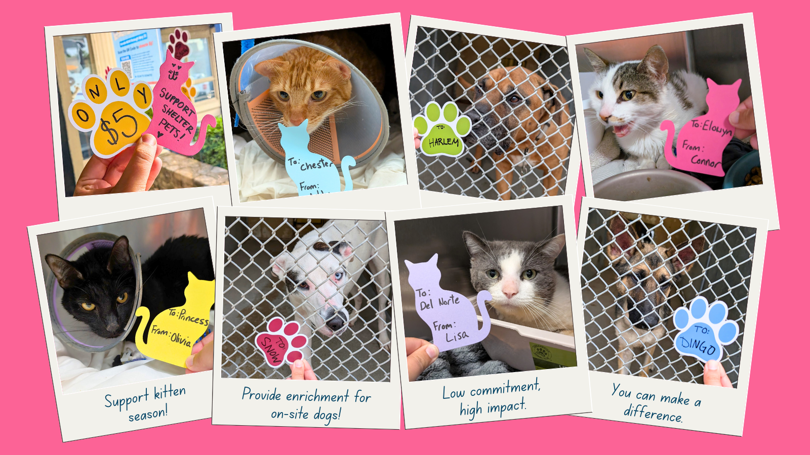 Your $5 donation can make a big impact! image