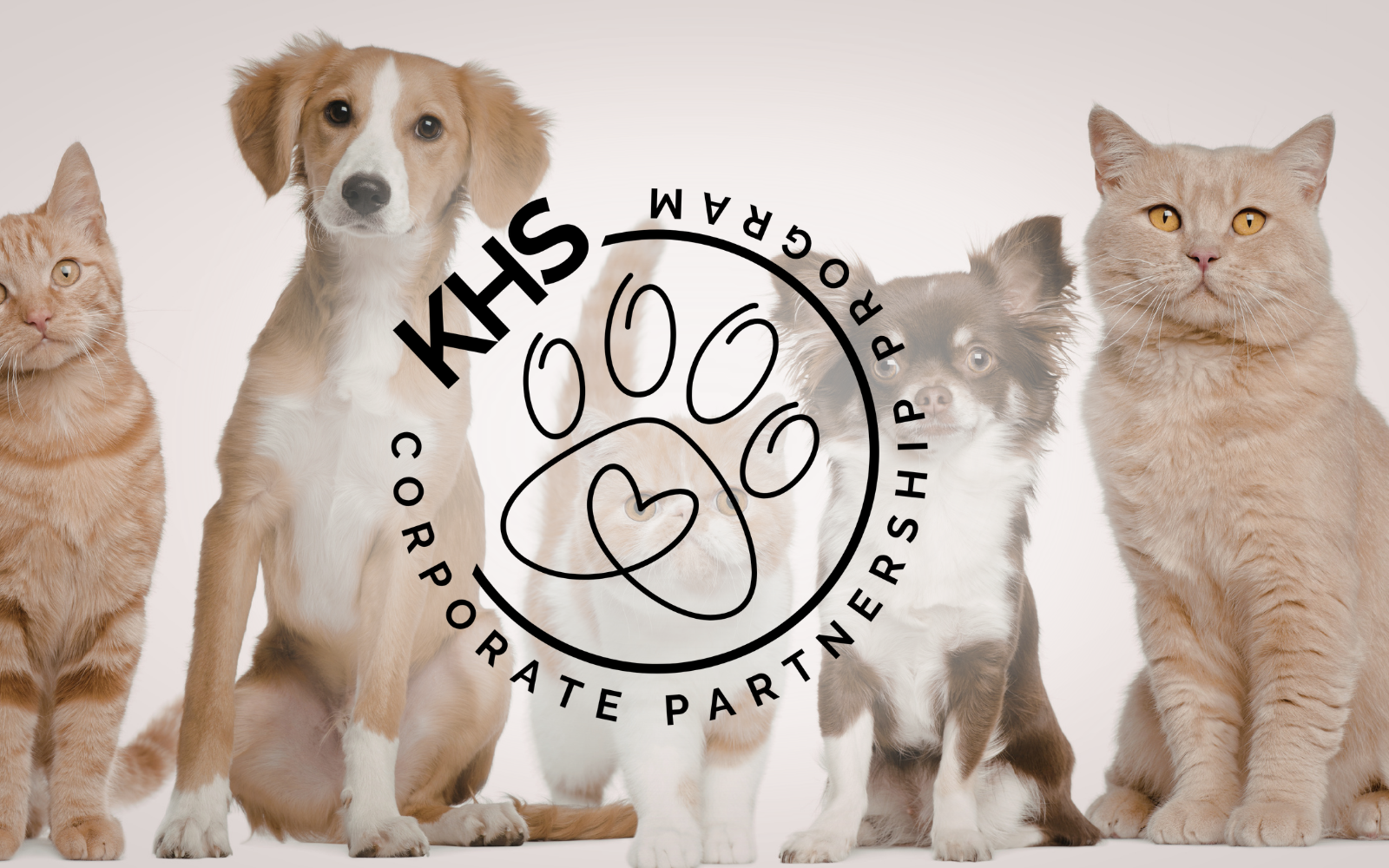 Corporate Partnership Program  image