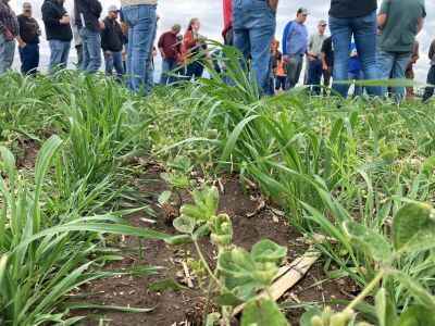 Help Grow a More Resilient Future image