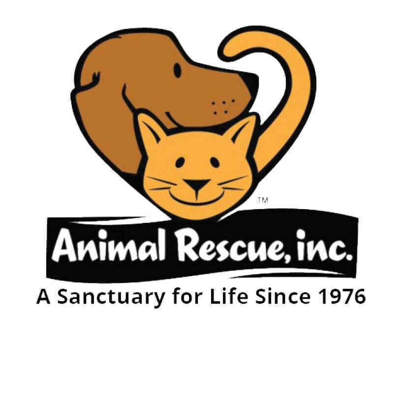 ​Paws for a Cause a 50th Anniversary Celebration of Animal Rescue, Inc. image