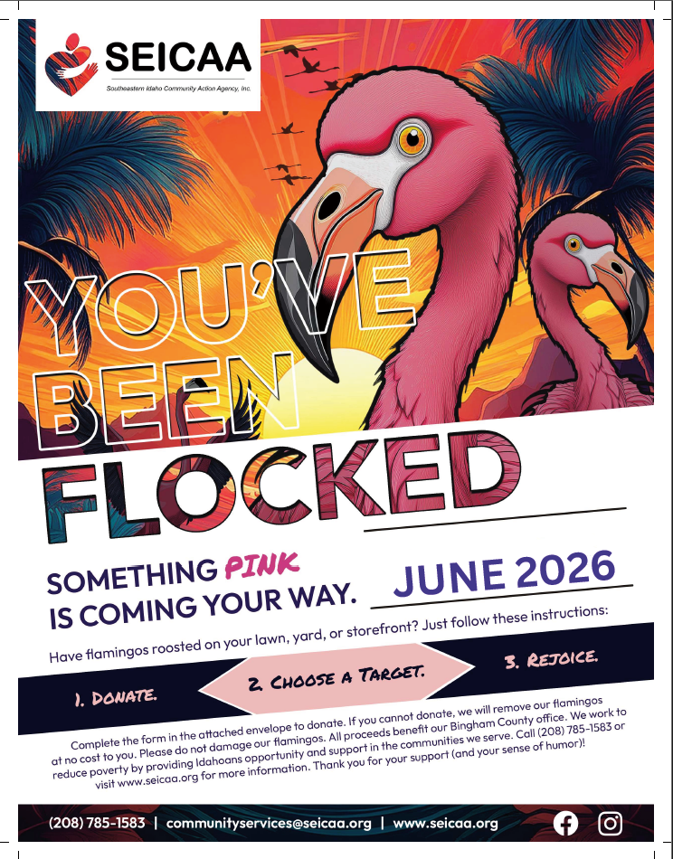 YOU'VE BEEN FLOCKED image