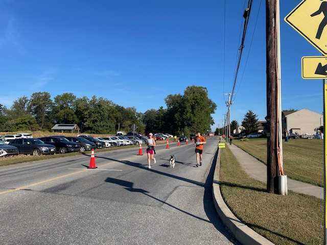 Ginger Goudie 5K & Fall Fest image