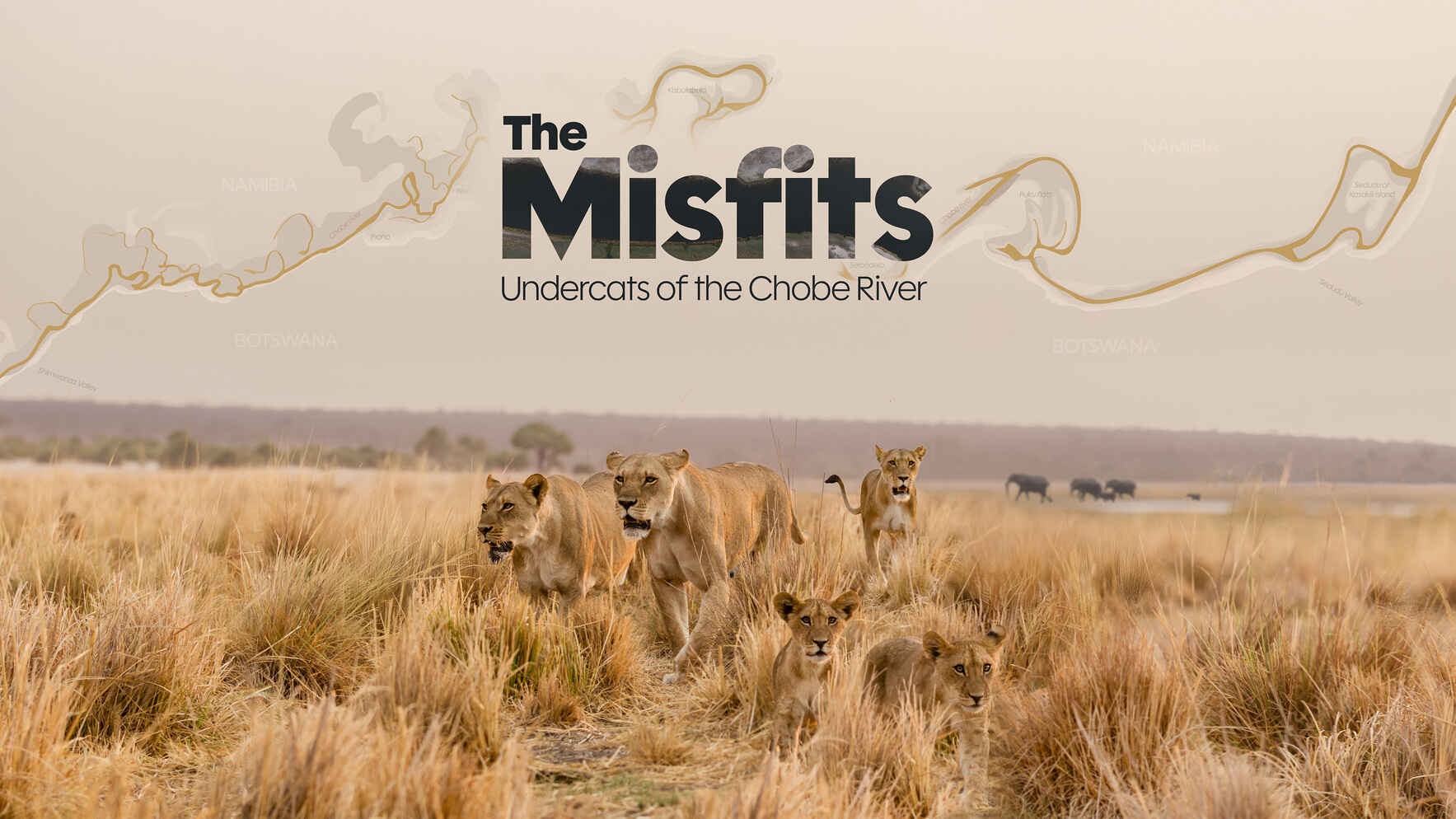 The Misfits: Undercats of the Chobe River image
