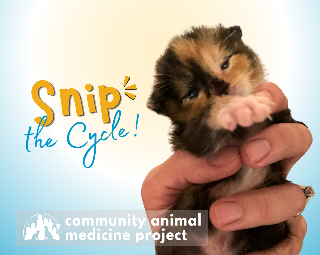 Snip the Cycle: Support Spay/Neuter image