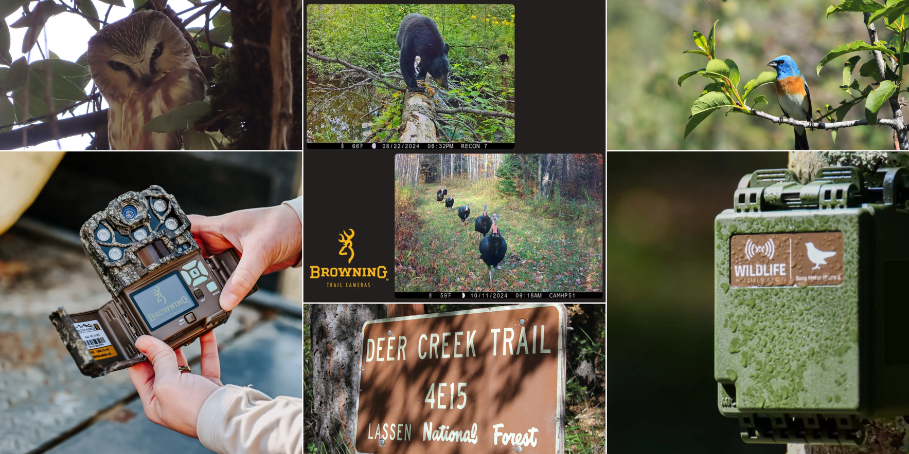 Hoo (who) lives out at at Deer Creek Preserve? image