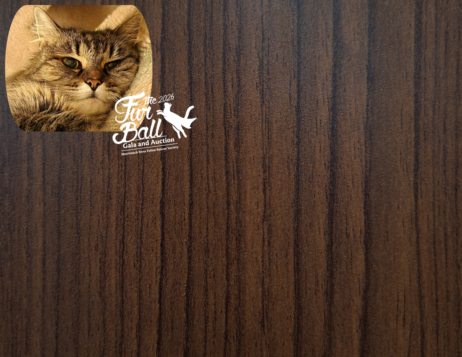 Fur Ball 2026 image