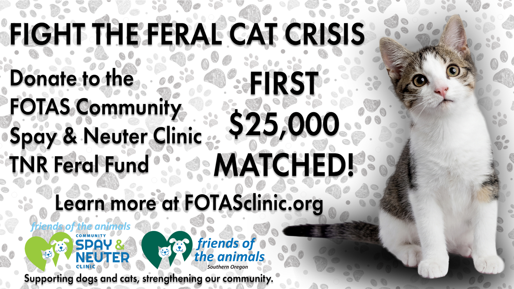 Double Your Impact:  The Fight against the Feral Cat Crisis image