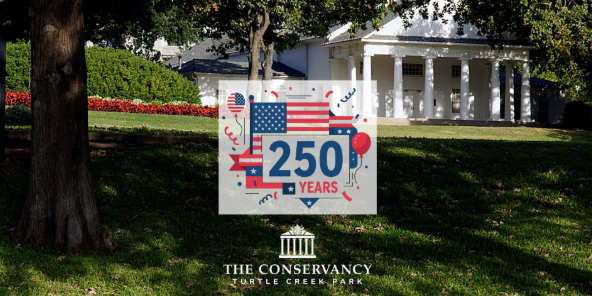 250 Flags for 250 Years image