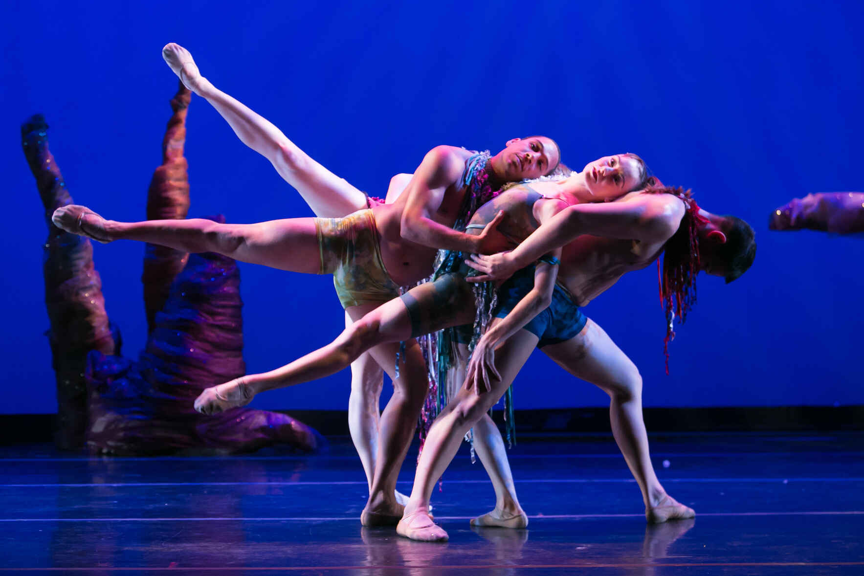 Support Dance NOW! Miami's 27th Season image