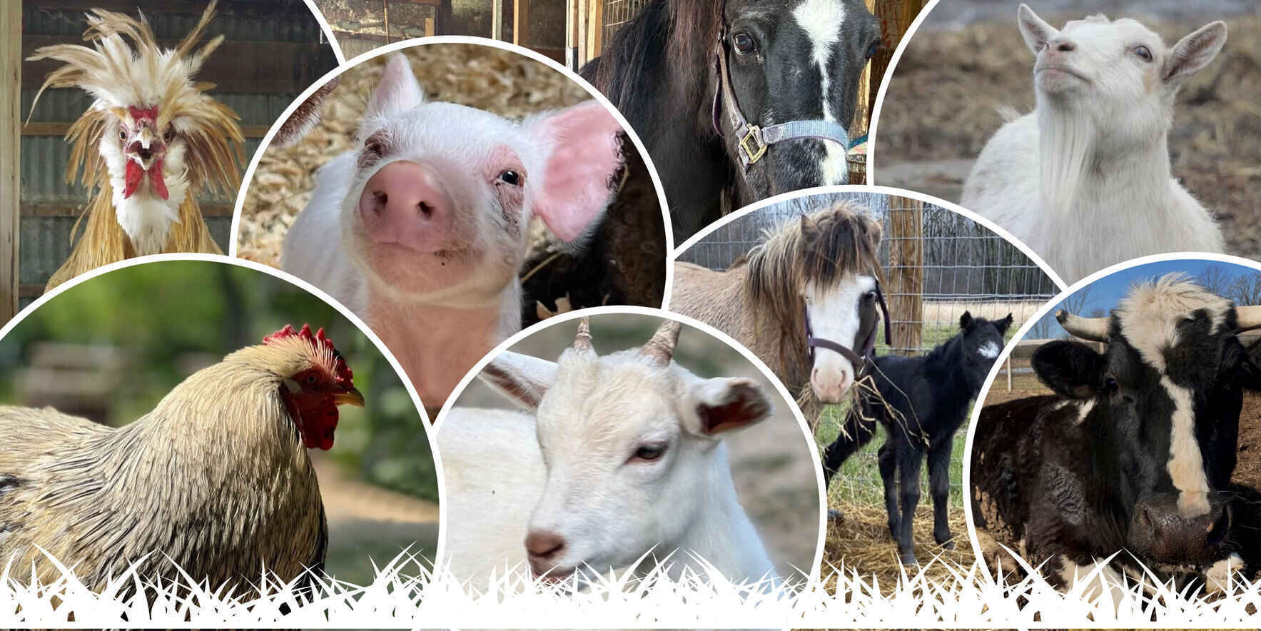 Erin's Farm image
