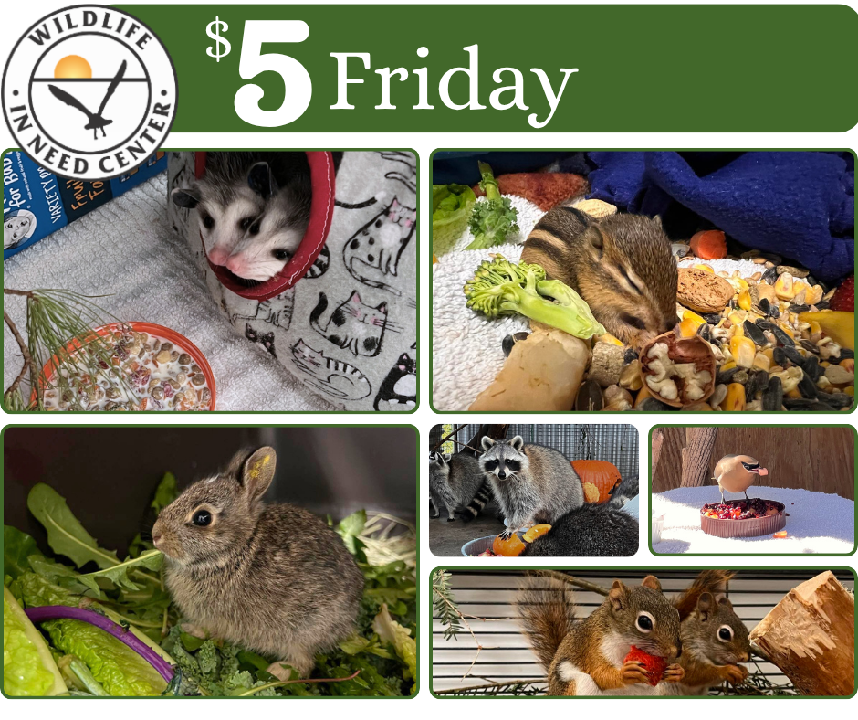 $5 Friday: Fresh Produce, Healthy Patients image