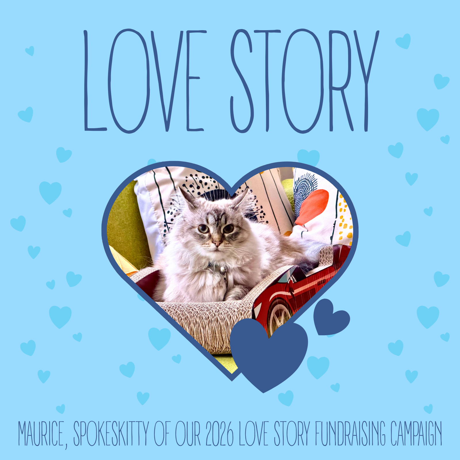 Help More Love Stories Unfold for Animals at HSWC! image