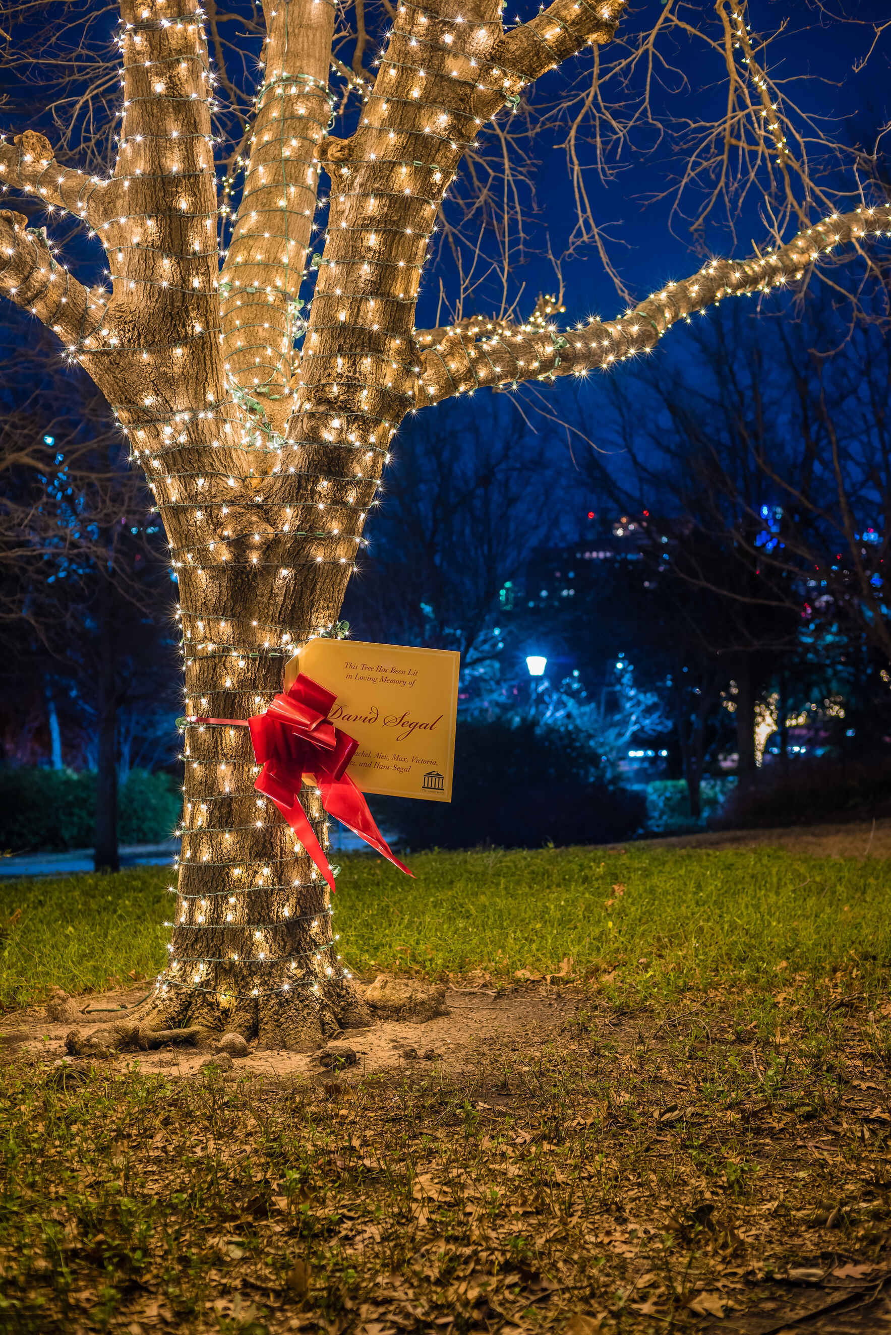 Light the Trees in Turtle Creek Park this Holiday Season image
