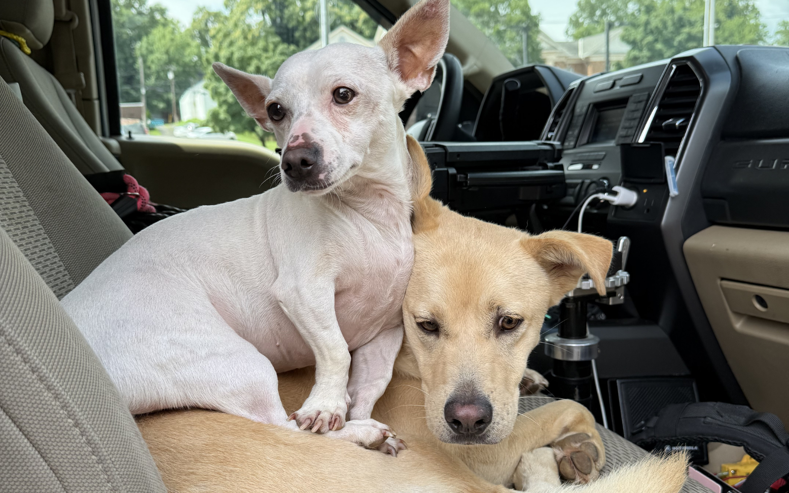 Travel Trailer Rescue image