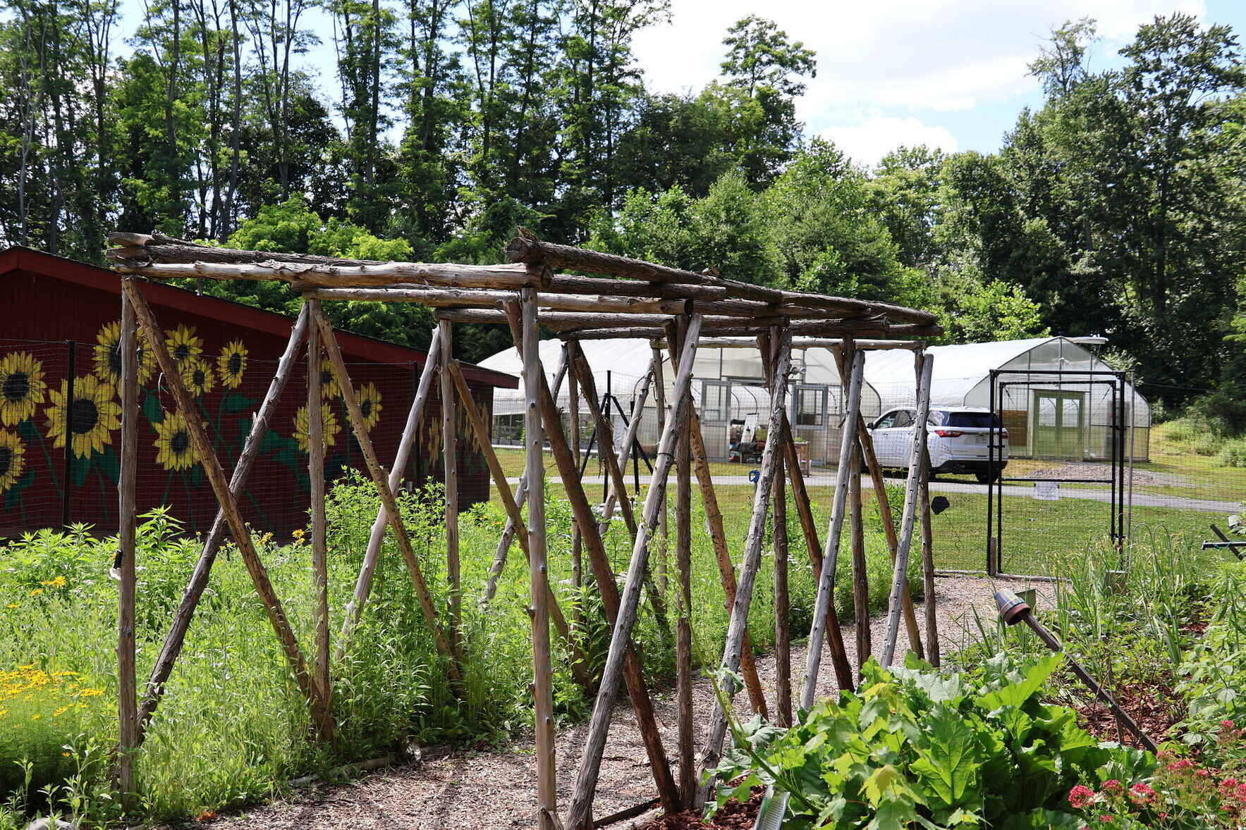 Help Grow Cultivating Dreams Intergenerational Learning Garden image