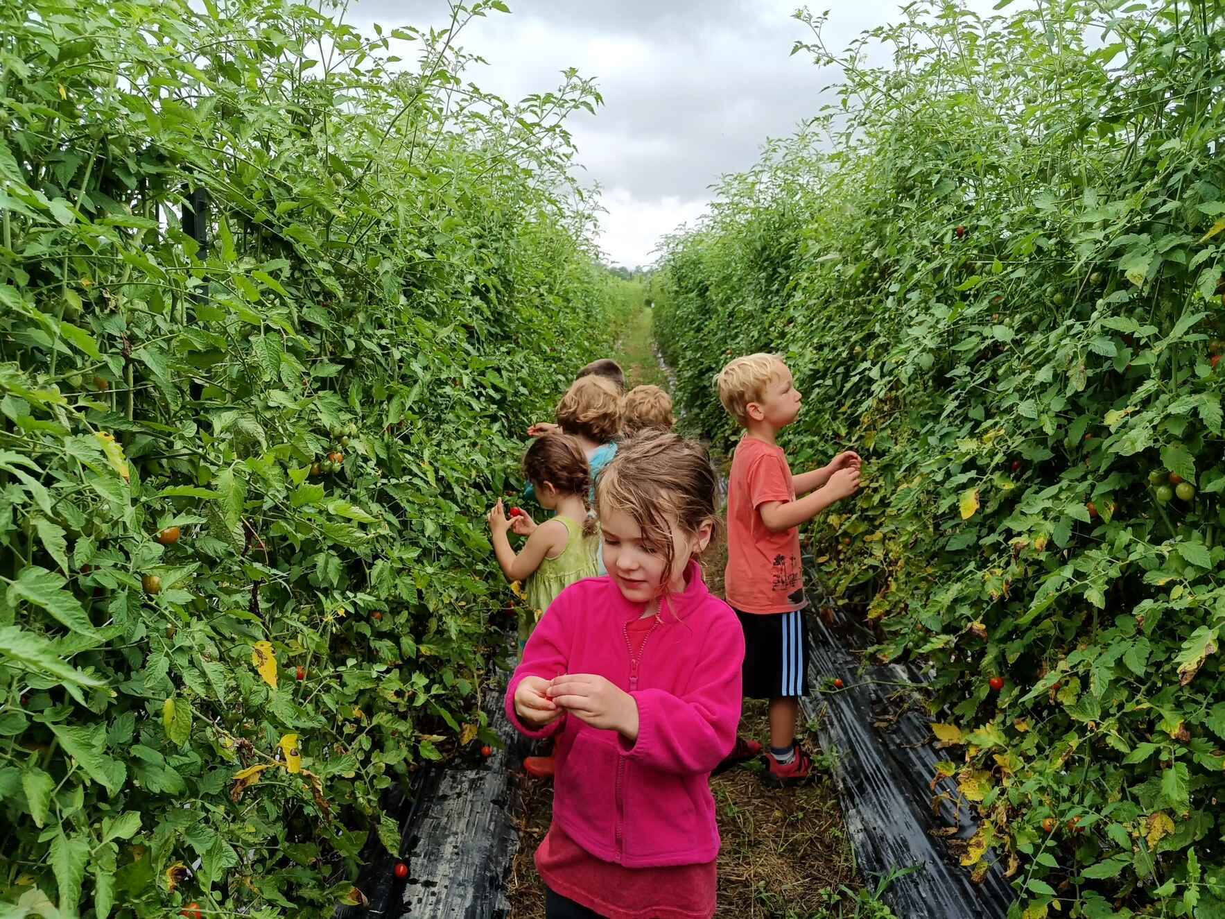 Growing Food. Nourishing Community. image