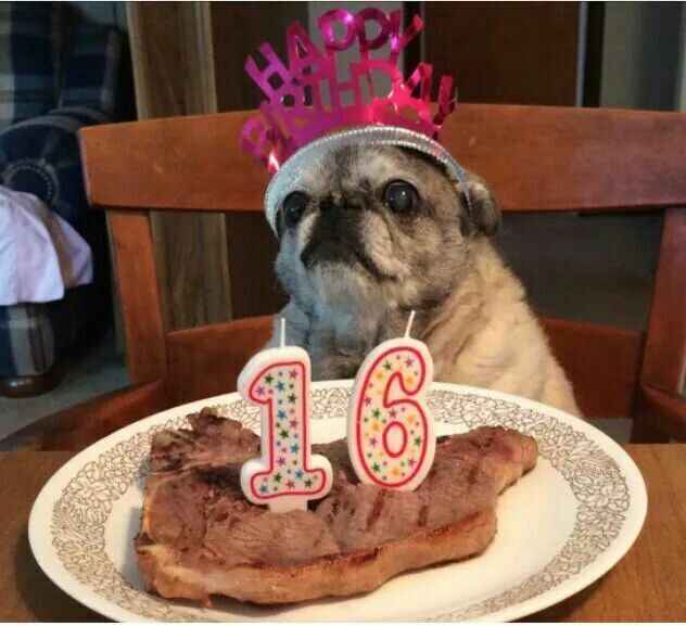 Help Us Raise $16,000 For Our 16th Anniversary! image