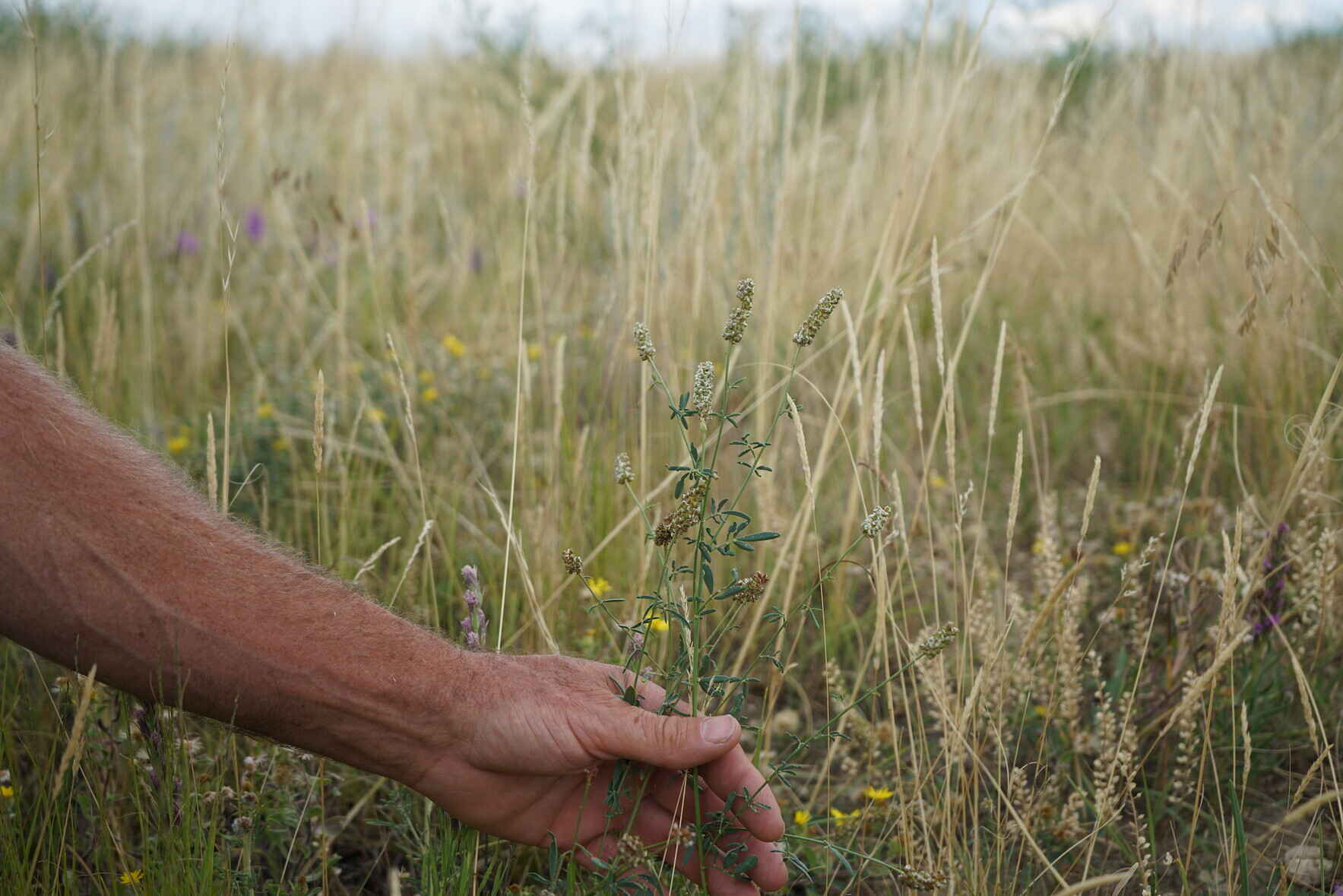 Help us support those who steward the Montana's most valuable resources image