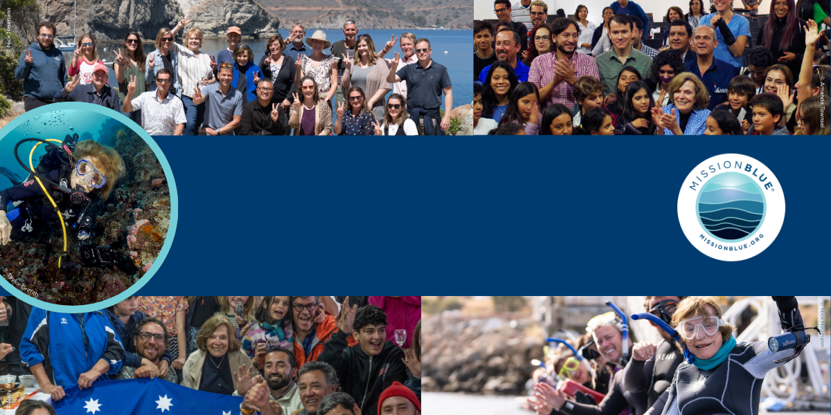 Support Mission Blue by starting a fundraiser for the ocean this Founder's Day image