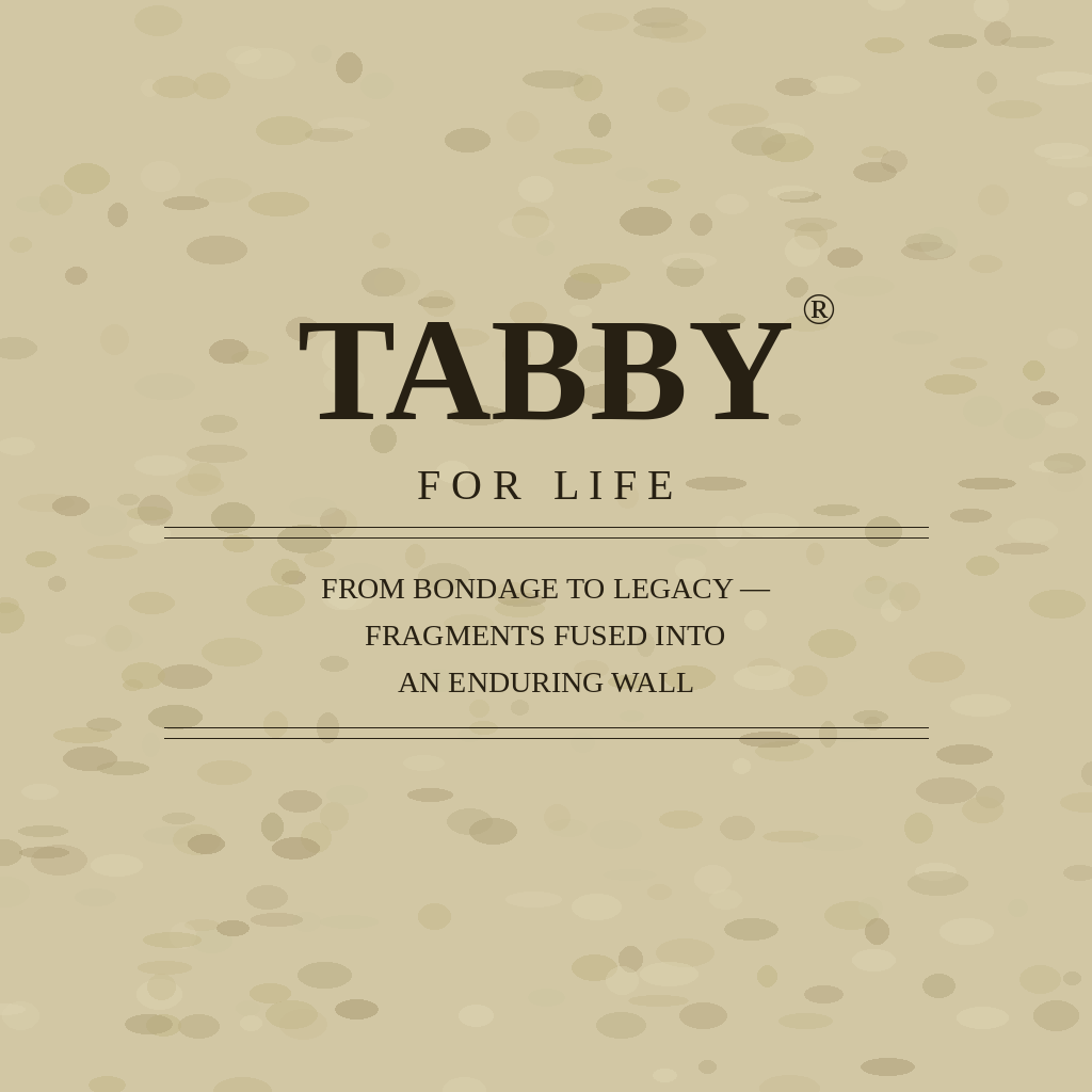  A True American Story: Tabby: For Life (r) image