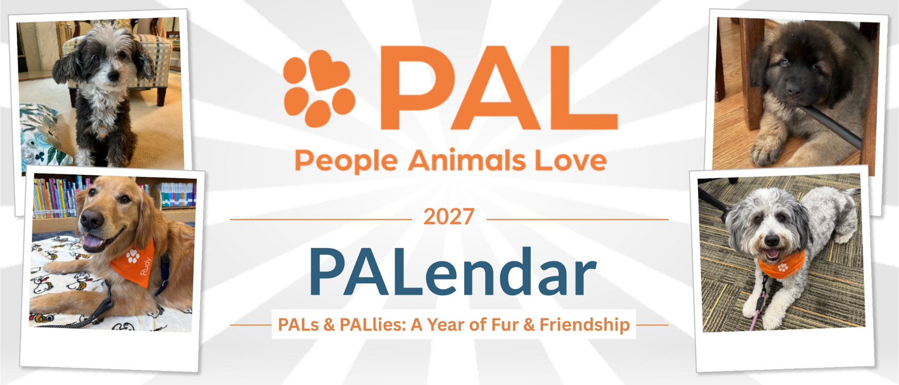 Bring Home “A Year of Fur & Friendship” image