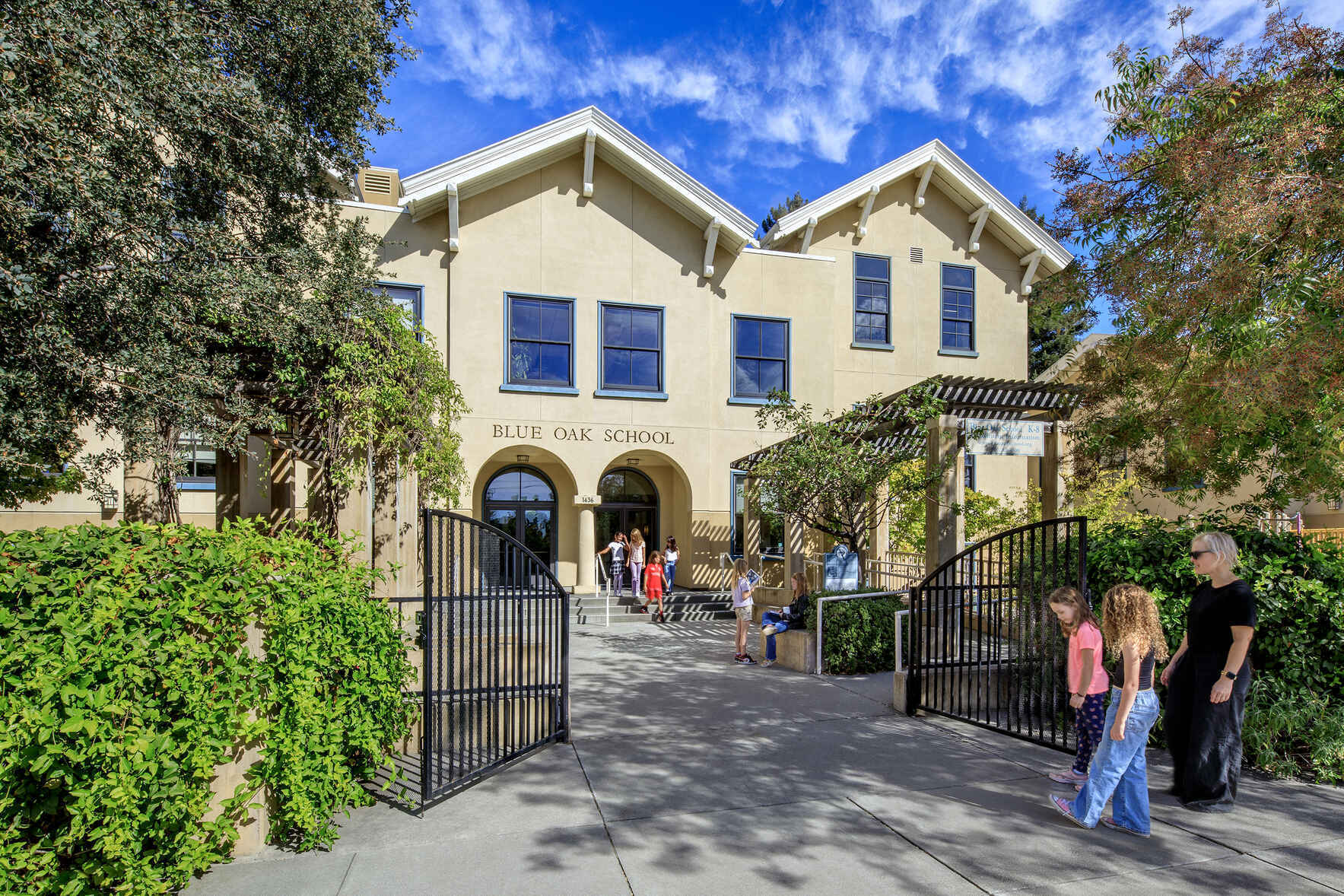 Together we grow the Blue Oak experience. image
