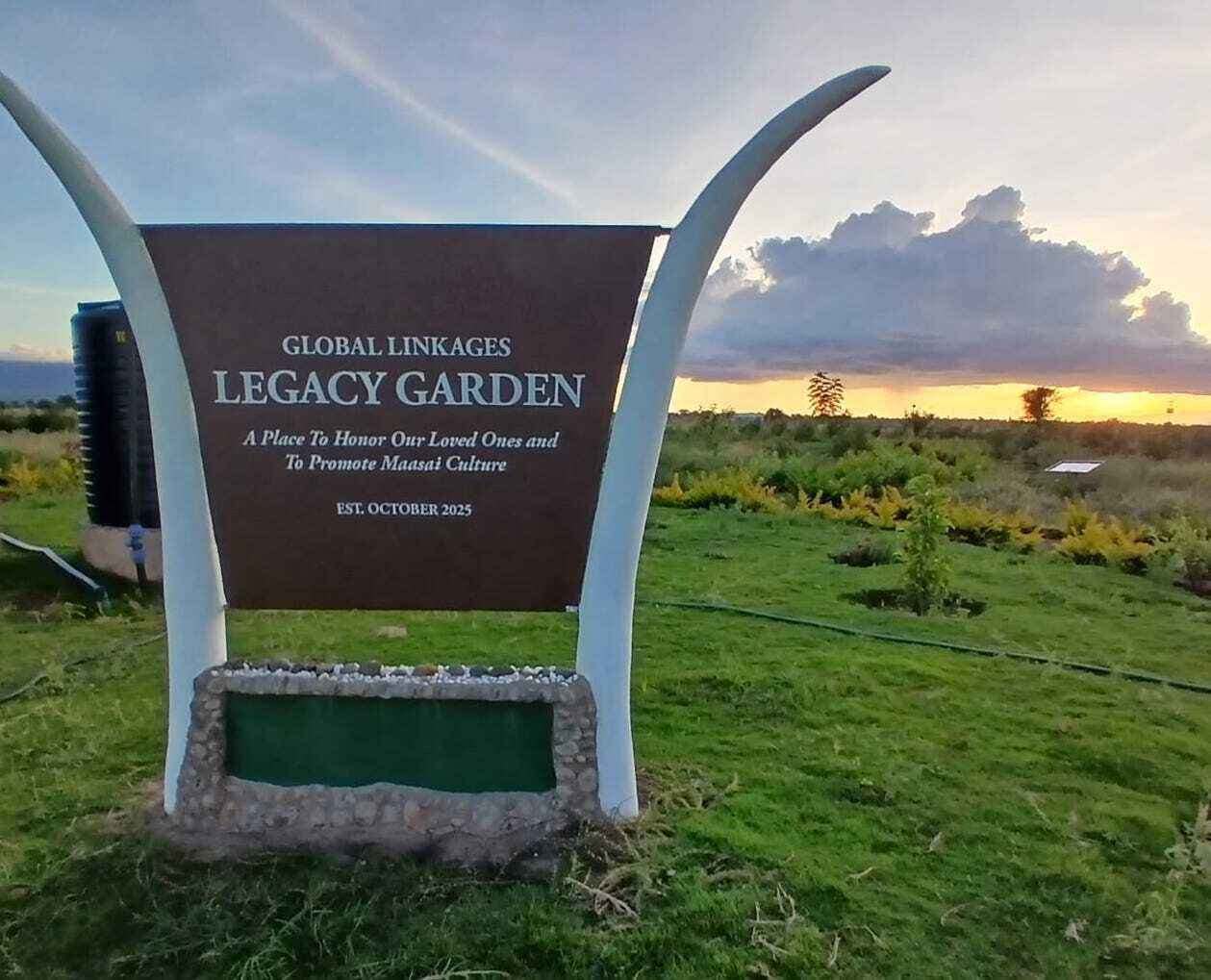 Plant a Living Memory and Sustain the Olmoti Community: Join Global Linkages as we plant the next round of 200 Legacy Trees in the Global Linkages Legacy Garden in Olmoti, Kenya image