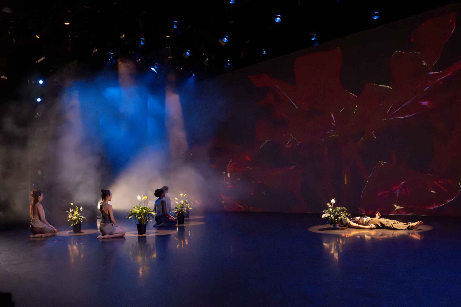 Join WHITE WAVE Young Soon Kim Dance Company and support today!  image