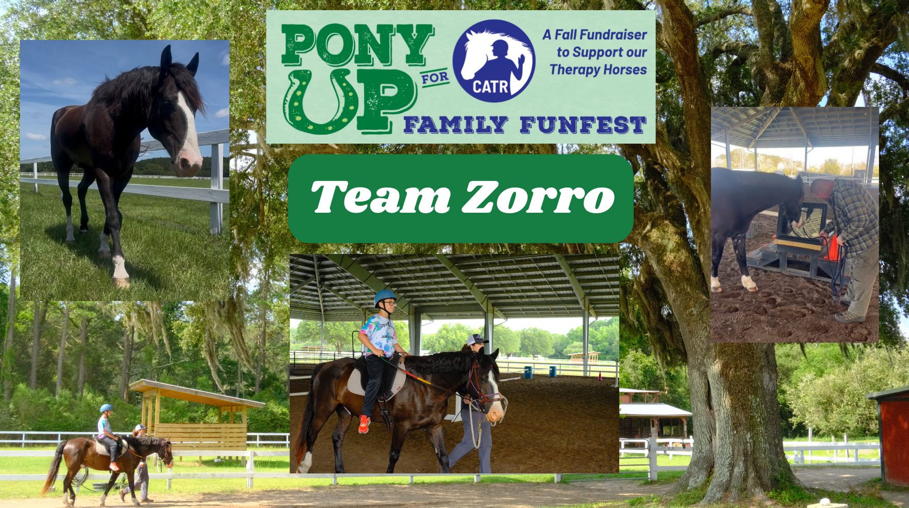 CATR Students need you to help support Zorro & his friends!  image