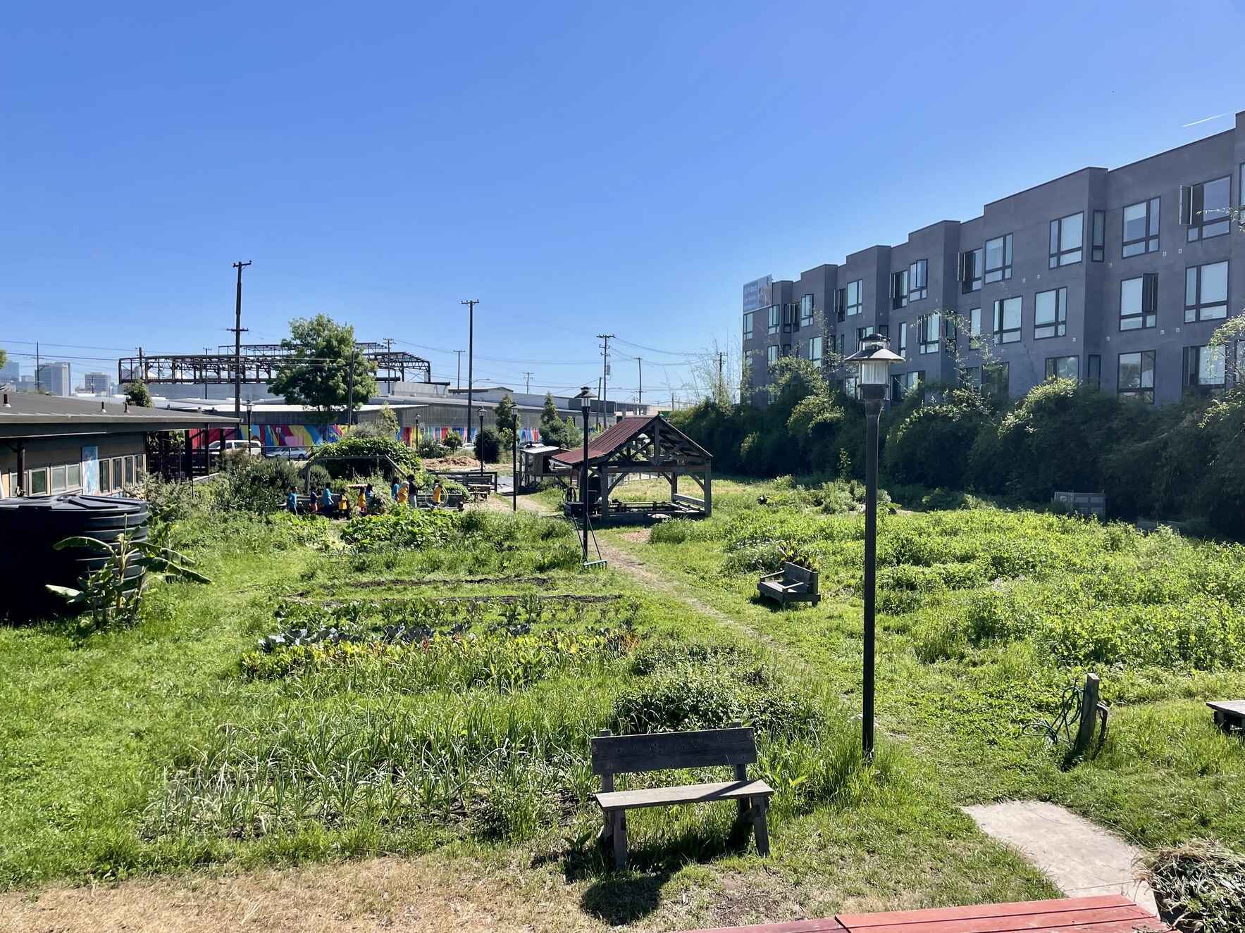 Grow Food. Grow Leaders. Grow Oakland’s Future. image